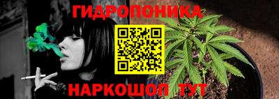 бошки Балашиха