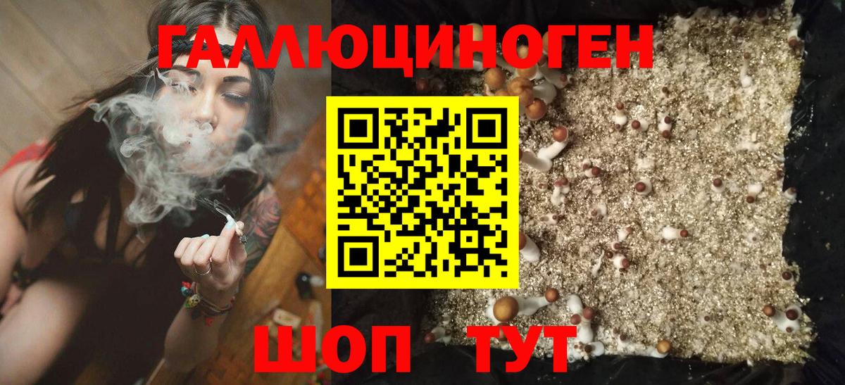 Белорецк  Псилоцибиновые грибы Psilocybe  Вход с VPN 